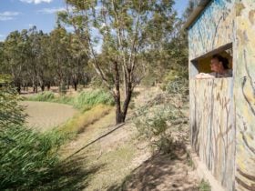 Bird Watching in Narrandera