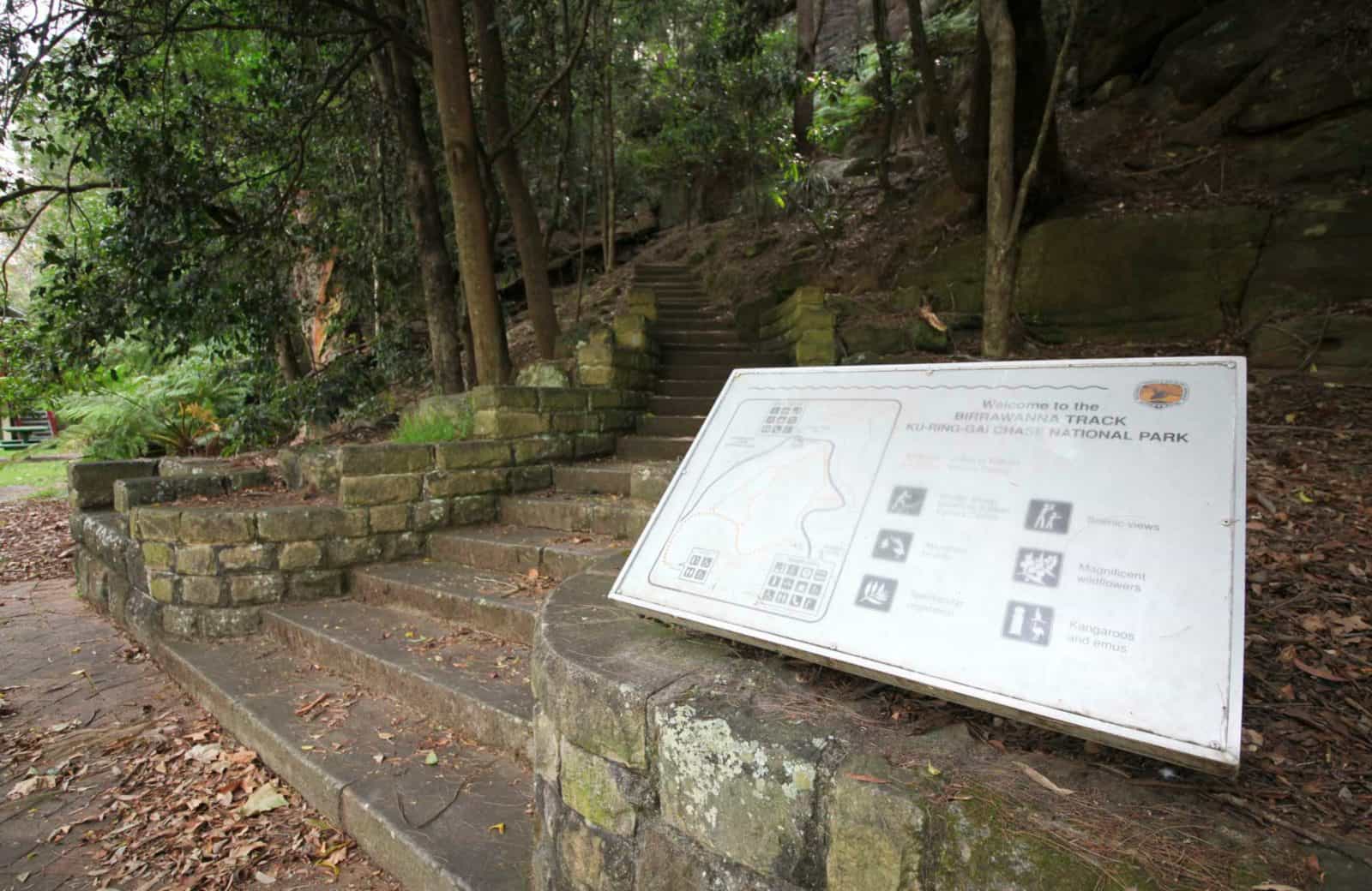 Birrawanna track, Ku-ring-gai Chase National Park. Photo: Andy Richards/NSW Government