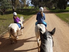 Bits and Boots Pony Rides