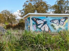 Blandford Signal Station Mural