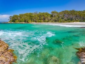 Blenheim Beach
