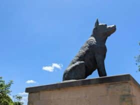 Big Blue bronze sculpture by Brett Garling