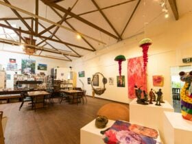 Blue Knob Gallery