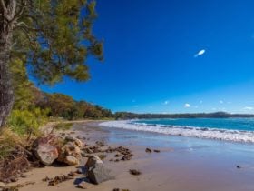 Boat Harbour Beach
