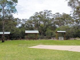 Bomaderry Creek picnic shelters, Bomaderry Creek Regional Park. Photo: Michael Van Ewijk © OEH