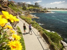 Bondi to Coogee Coastal Walk
