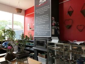 Bonsai Showroom