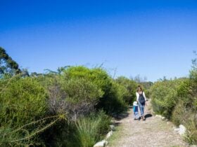 Telegraph Creek nature trail, Booderee National Park