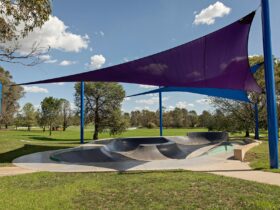 Skate park with an interesting shaped bowl which has a volcano feature as a centrepiece.
