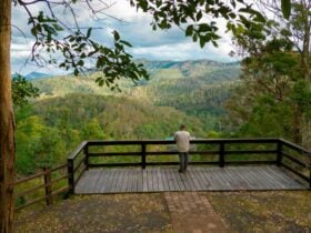 Visitor enjoying valley views from Border Loop lookout. Credit: John Spencer © DPE