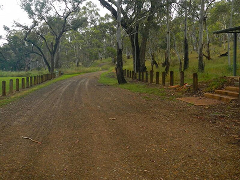 Borenore picnic area. Photo: Debby McGerty © OEH