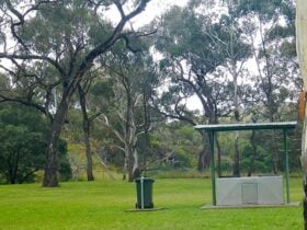 A barbecue at Borenore picnic area in Borenore Karst Conservation Reserve. Photo: Debby McGerty