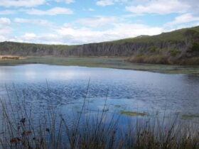 Bournda Lagoon, Bournda National Park. Photo: BECC/NSW Government