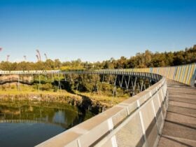 The Brickpit Walk sits 18.5m high over the historic Brickpit Pond in Sydney Olympic Park