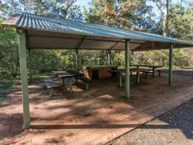 Brimbin picnic area, Brimbin Nature Reserve. Photo: John Spencer