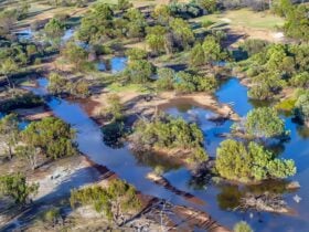 Aerial view of the waterways of outback Brindingabba National Park, 175km from Bourke. Photo: Joshua