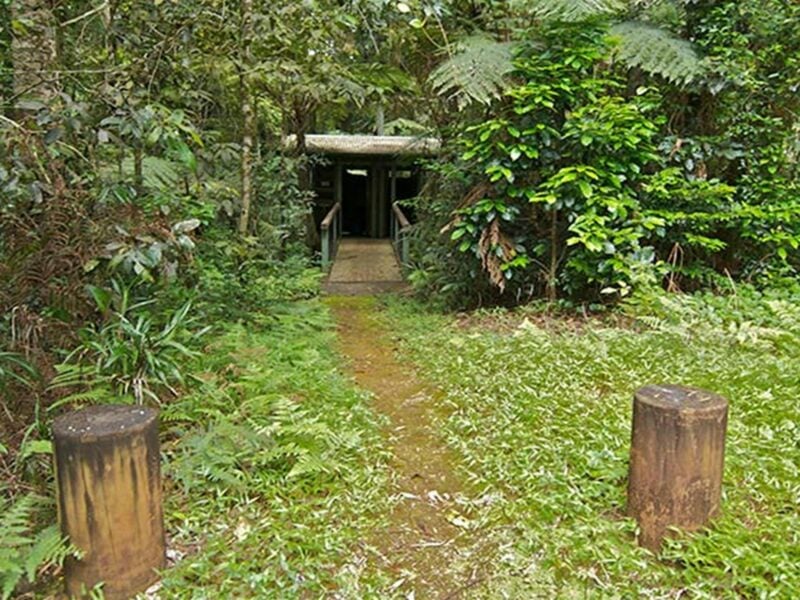 Toilet facilities amongst rainforest at Brindle Creek picnic area, Border Ranges National Park.