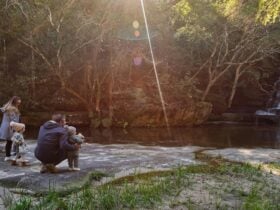 A family of four stops to admire the falls at the base of Somersby Falls walking track, Brisbane