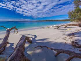 Bristol Point
