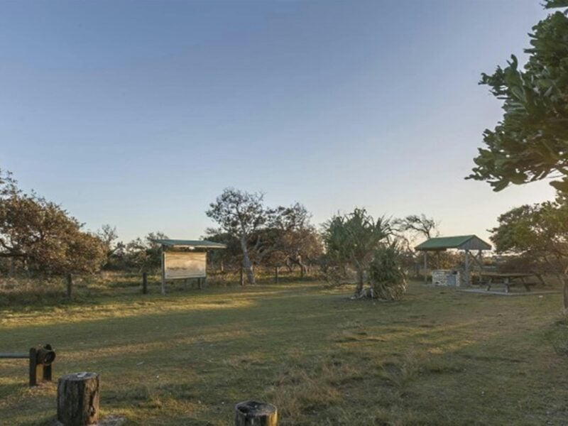 Sunrise over Broadwater Beach picnic area in Broadwater National Park. Photo: Murray Vanderveer