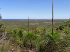 Broadwater inland lookout, Broadwater National Park. Photo: L Walker