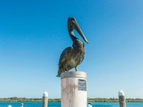 bronze pelican statue