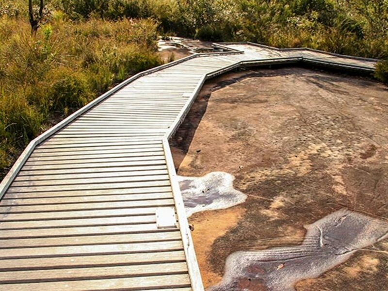 Bulgandry Art Site Aboriginal Place, Brisbane Water National Park. Photo: John Yurasek © OEH