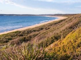 Beach and coastal views from Bull Hole lookout, Jervis Bay National Park. Photo: Michael Van Ewijk