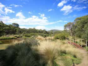 Bullocks walking track