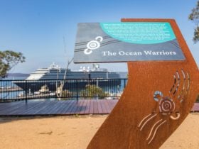 Bundian Way, south coast, walks, lookout