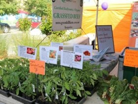 Farmers Markets