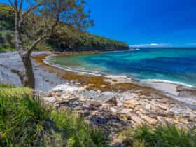Burns Bay