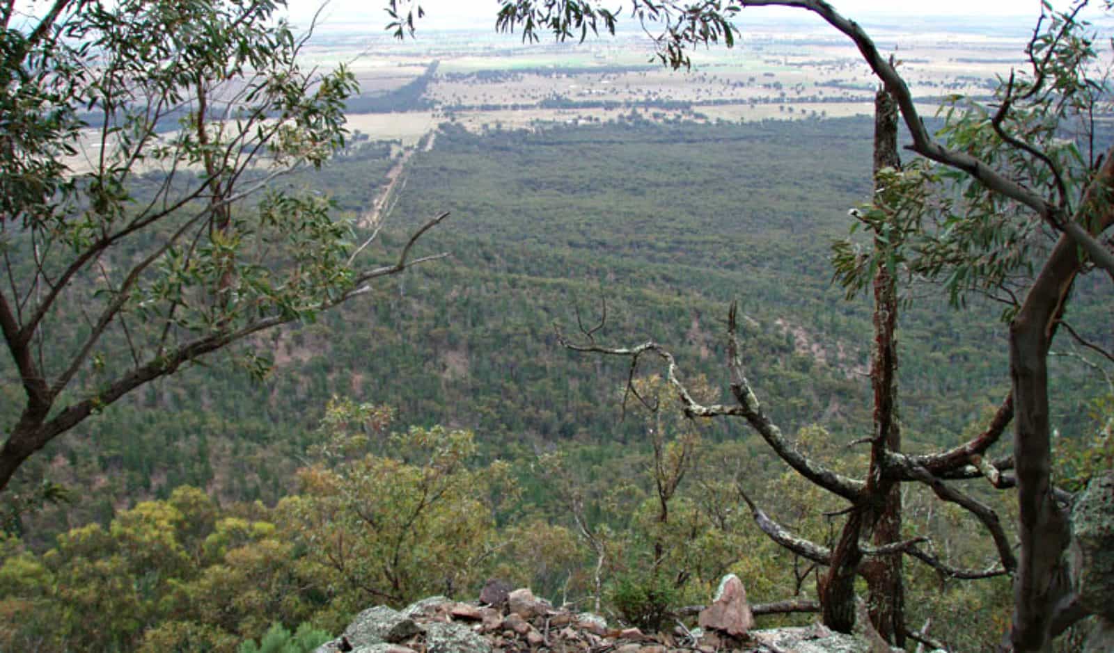 Burrabadine walking track view, Goobang National Park. Photo: A Lavender
