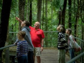Uncle David King with a group of kids on the Buunyal tour in the rainforest