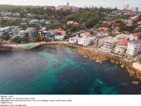 Cabbage Tree Bay, Best snorkeling spot in Sydney