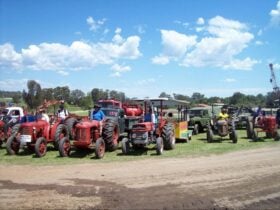 Old tractors, Army vehicles and truck lined up for the Grand Parade