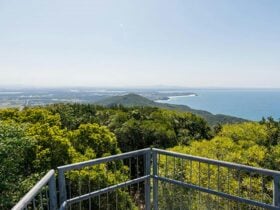 Coastal views from Cape Hawke lookout in Booti Booti National Park. Photo credit: John Spencer