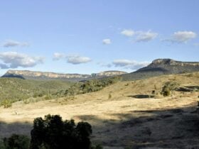 Capertee National Park. Photo: Michelle Barton/OEH
