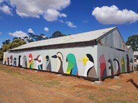 Caragabal Bird Art