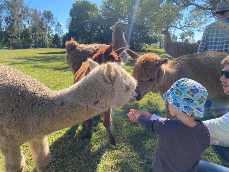 Feeding time