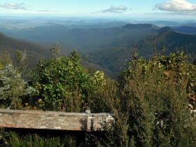 Careys Peak lookout, Barrington Tops National Park. Photo: Peter Beard © Peter Beard/DCCEEW