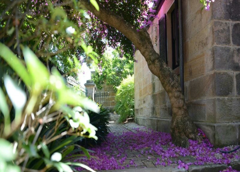 Every season tells it