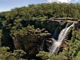 View of Carrington Falls waterfall, Budderoo National Park. Photo credit: Michael Van Ewijk &copy