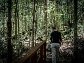 A woman walks over the Cascade Walking Track footbridge