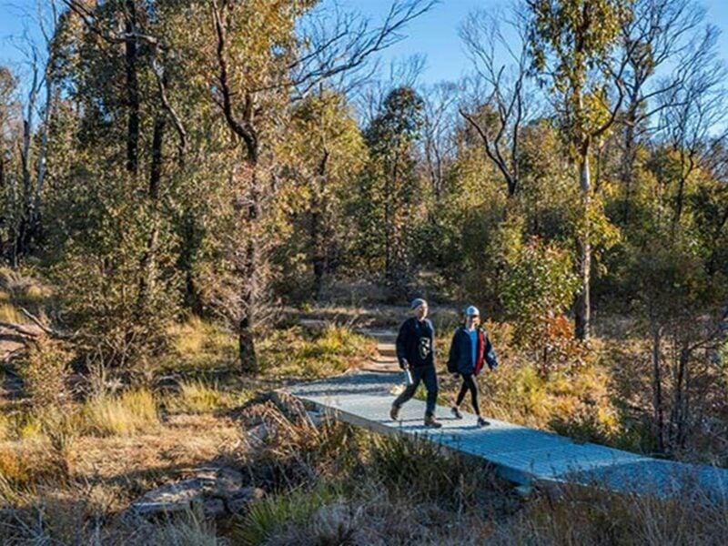 2 walkers on Warrigal walking track, Cathedral Rock National Park. Photo: Josh Smith © DPE
