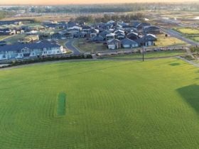Estate Sports Field
