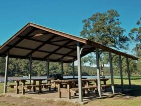 Cattle Duffers Flat picnic area, Georges River National Park. Photo: John Spencer