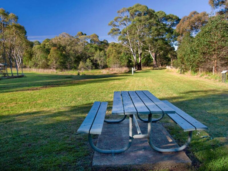 Cecil Hoskins picnic area, Cecil Hoskins Nature Reserve. Photo: Nick Cubbin © OEH