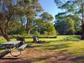 Cecil Hoskins picnic area, Cecil Hoskins Nature Reserve. Photo: Nick Cubbin © OEH