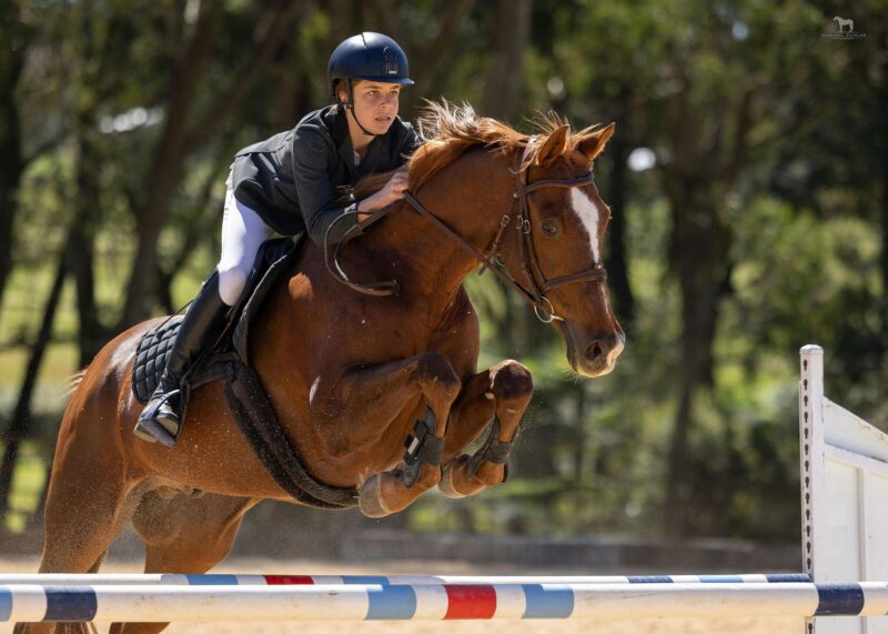 Horse Jumping